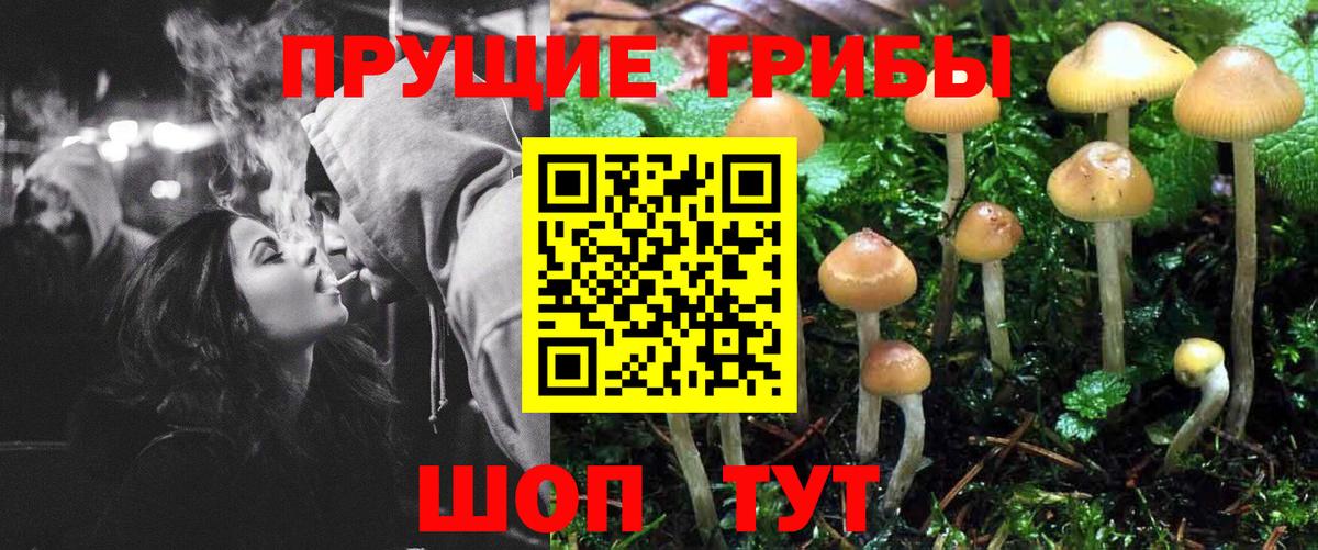 как найти закладки  Вход с VPN  Узловая  Галлюциногенные грибы Psilocybe 