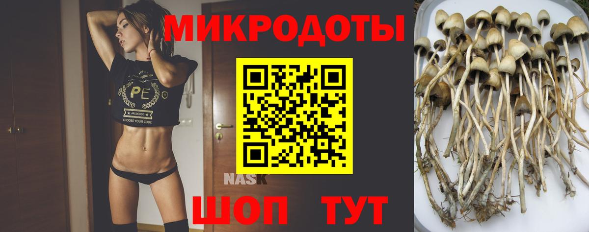 Галлюциногенные грибы прущие грибы Узловая